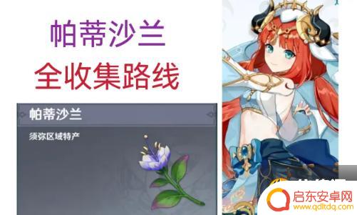 原神地形石在哪购买 原神帕蒂沙兰刷新位置攻略