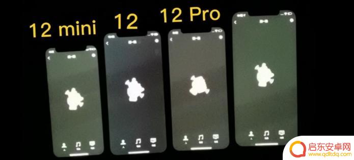 怎么测手机真绿 iPhone 12绿屏检测步骤