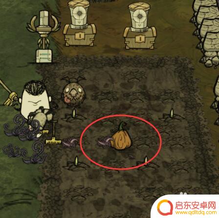 steam饥荒稻草人怎么做 饥荒如何种稻草人