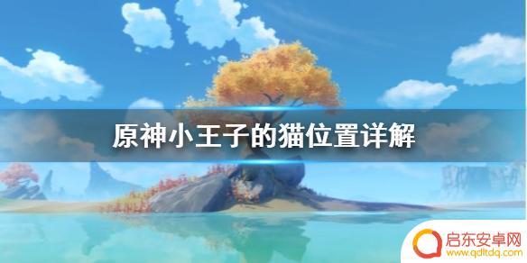 原神找猫猫的位置 原神小王子任务猫怎么找