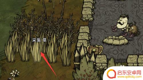 steam饥荒稻草人怎么做 饥荒如何种稻草人