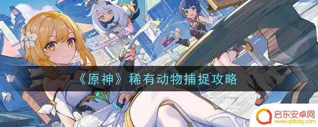 原神稀有小动物 稀有动物捕捉