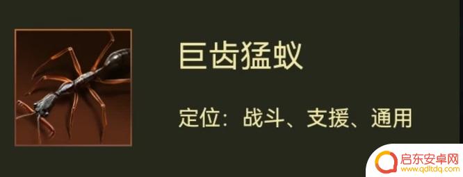 小小蚁国怎么打架厉害 小小蚁国打架攻略