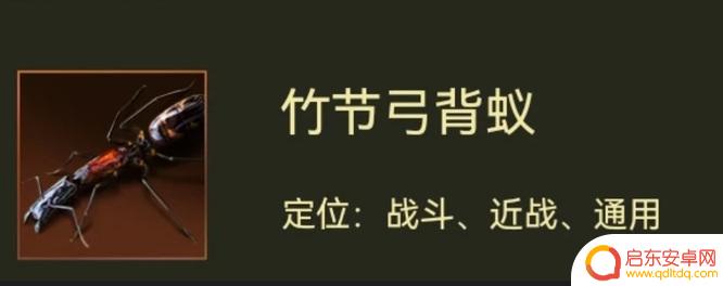 小小蚁国怎么打架厉害 小小蚁国打架攻略