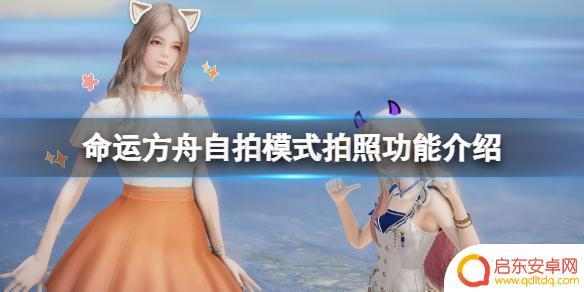 命运2如何拍照 《命运方舟》自拍模式怎么开