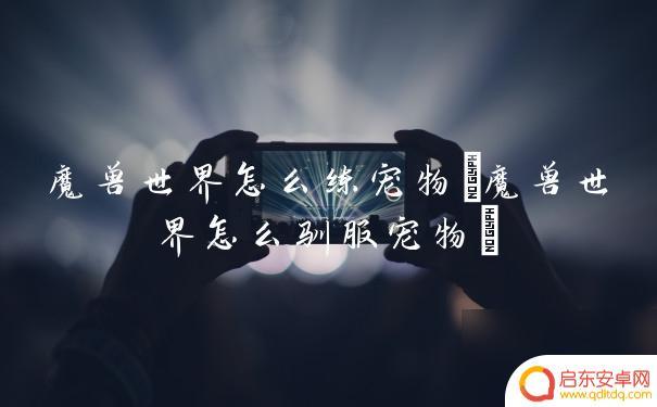 魔兽小宠物怎么合成 魔兽世界宠物驯服技巧