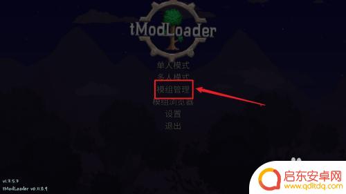 电脑泰拉瑞亚怎么装装备 泰拉瑞亚灾厄mod安装教程