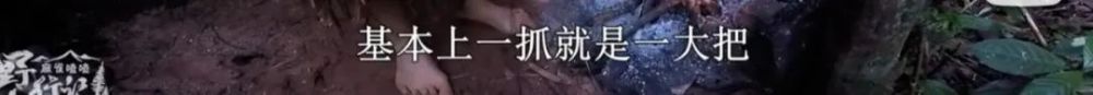 荒野行动的手机怎么充电 为什么中国荒野求生第一人没火
