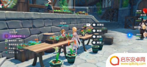 原神芙罗拉买什么花 原神轻飘飘的花与芙萝拉任务攻略流程解析