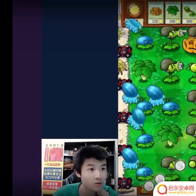 #植物大战僵尸