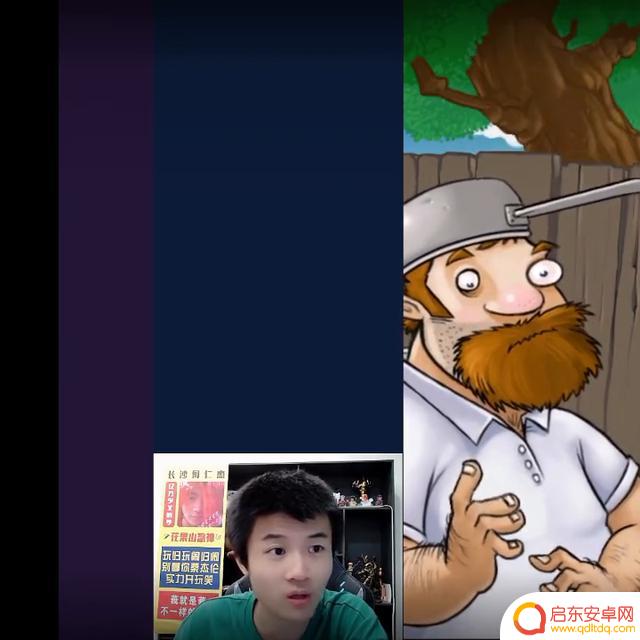 #植物大战僵尸