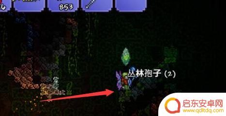 泰拉瑞亚草雉剑做不了 泰拉瑞亚草剑合成步骤错误