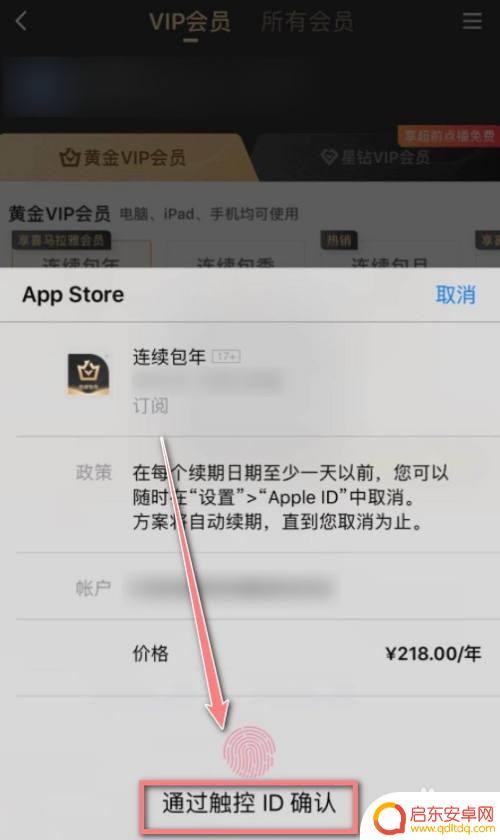 苹果手机爱奇艺会员支付 苹果手机开通爱奇艺会员的支付步骤
