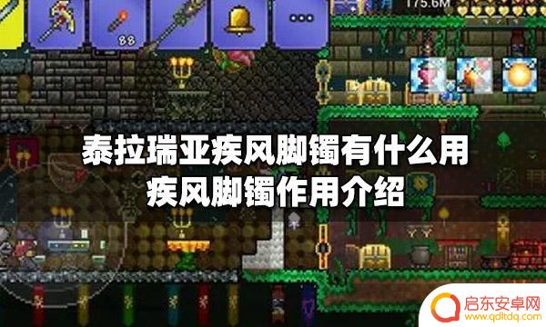 泰拉瑞亚加速的饰品 泰拉瑞亚疾风脚镯有什么用途