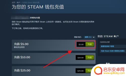 Steam怎么支付5美金?教你一步步操作,快速了解