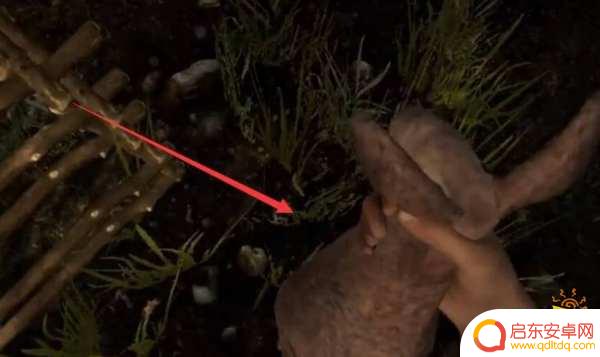 steam森林捉到的兔子怎么烤，最佳烤兔子方法分享！
