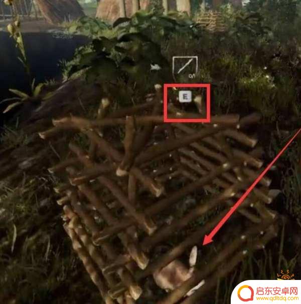 steam森林捉到的兔子怎么烤，最佳烤兔子方法分享！