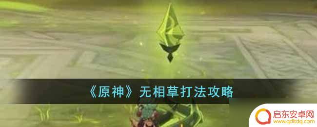 原神深渊无相之草怎么打 原神无相之草打法攻略分享
