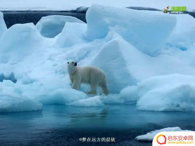 晨依抖音全裸自拍(晨依抖音全裸自拍图片)