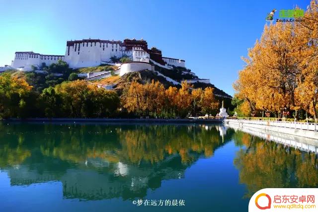 晨依抖音全裸自拍(晨依抖音全裸自拍图片)