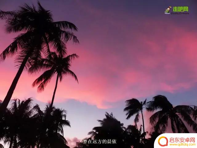 晨依抖音全裸自拍(晨依抖音全裸自拍图片)