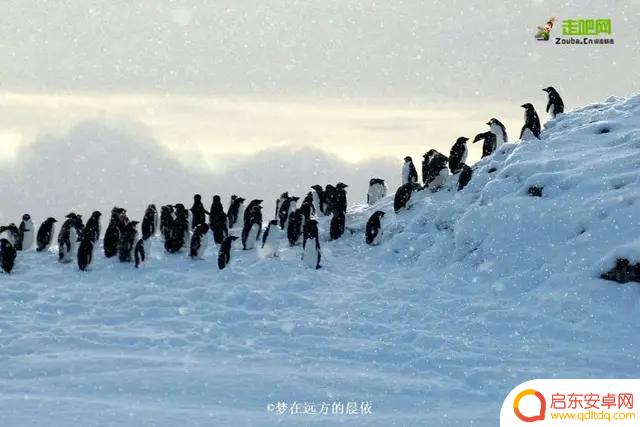晨依抖音全裸自拍(晨依抖音全裸自拍图片)