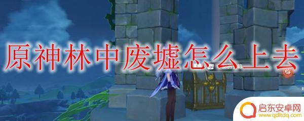 原神林中废怎么过 如何进入原神林中废墟