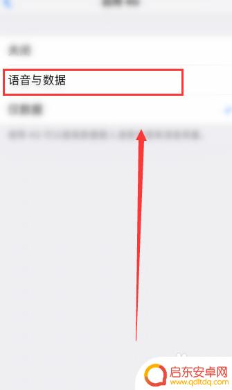 苹果手机如何高清语音 如何在苹果手机上开启高清通话选项