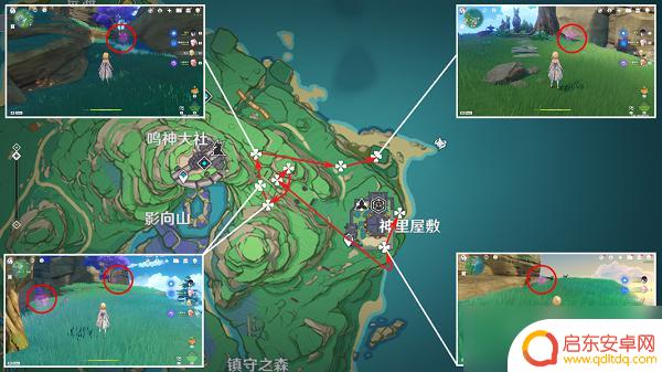 原神绯樱绣球如何收集 绯樱绣球采集技巧