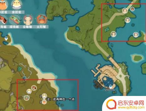 原神小团雀分布图 原神团雀什么时候刷新