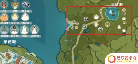 原神小团雀分布图 原神团雀什么时候刷新