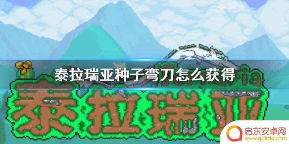 泰拉瑞亚弯刀是什么 《泰拉瑞亚》种子弯刀如何获得