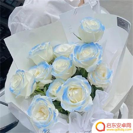 玫瑰美人抖音文案(玫瑰美人抖音文案怎么写)