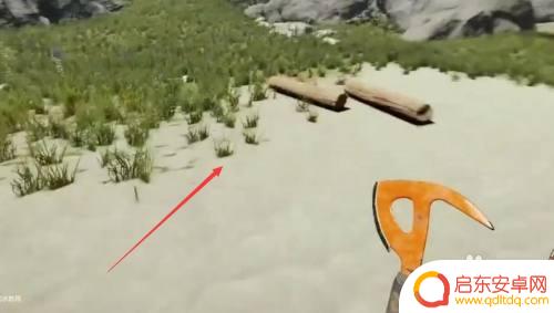 Steam森林怎么说话?探索这款互动游戏中的语言交流方式