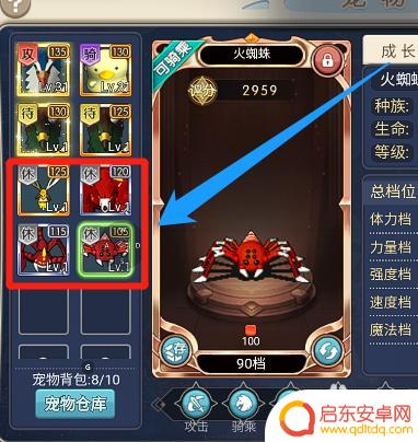魔力宝贝回忆怎么批量放生 魔力宝贝回忆版宠物放生指南