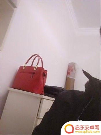 手机镜头反了怎么调正 手机前置摄像头拍照出现反向的原因是什么