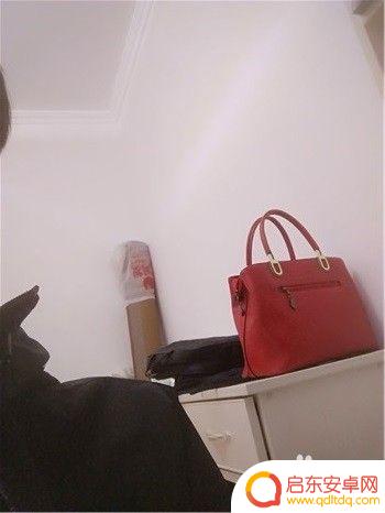 手机镜头反了怎么调正 手机前置摄像头拍照出现反向的原因是什么