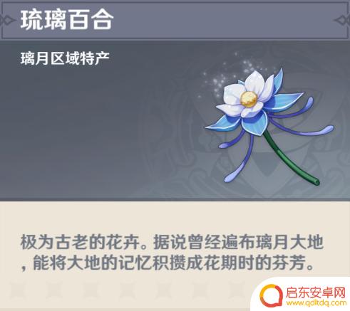 原神百合 怎么在《原神》中找到琉璃百合