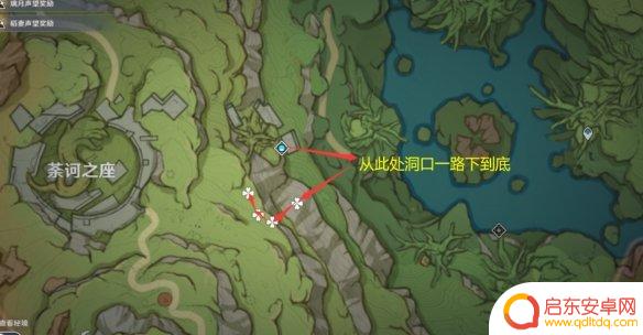 原神 睡莲 原神须弥月莲采集地点