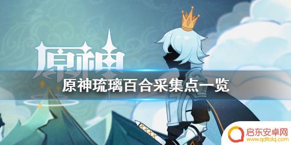 原神百合 怎么在《原神》中找到琉璃百合