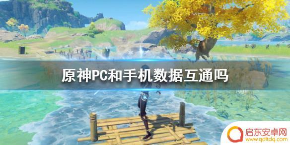 原神pc和移动版互通 《原神》PC手机互通怎么设置