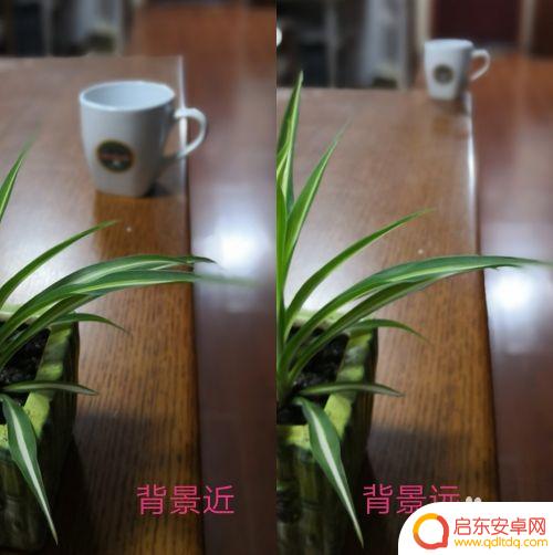 手机拍摄怎么虚化 如何用手机拍出背景虚化效果