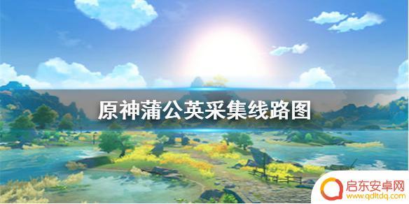 原神蒲公英种子快速获取 蒲公英采集线路图原神手游