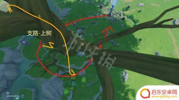 原神晶蝶哪里抓啊 《原神》晶蝶捕捉路线攻略