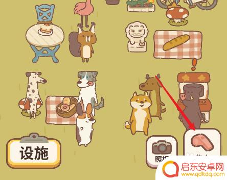 动物餐厅如何拍照 动物餐厅客人拍照攻略