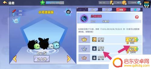 喵星联盟怎么复活技能的 召唤与合成复活技能的攻略分享