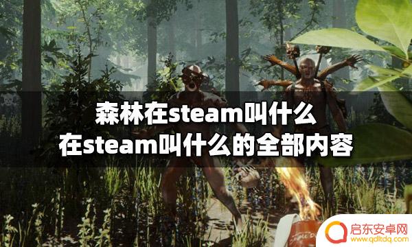 steam森林英文名字 在steam叫什么的森林类游戏有哪些