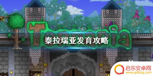 泰拉瑞亚发育步骤 《泰拉瑞亚》小白发育图文教程分享