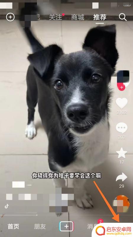 抖音的日常视频是(抖音的日常视频是什么)