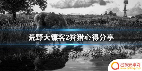 荒野大镖客狩猎天堂(荒野大镖客狩猎天堂怎么进)